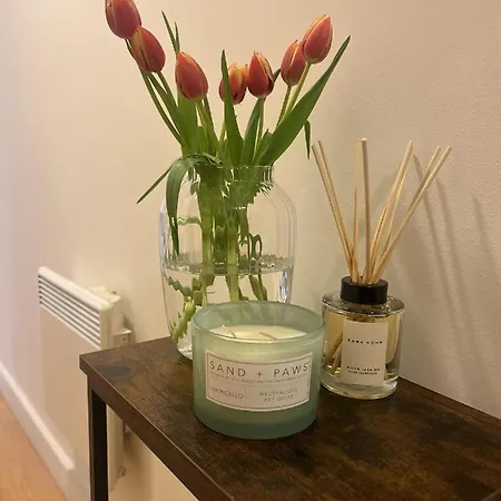 Spacious Mews Apartment, Clapham Apartamento *