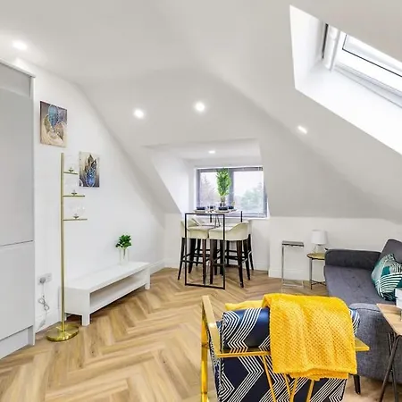 Massive West 7 Bed Modern *