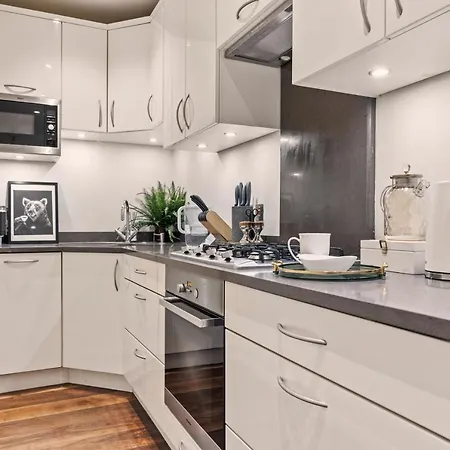 Hyde Park Luxury Two-bedroom With Patio Apartment