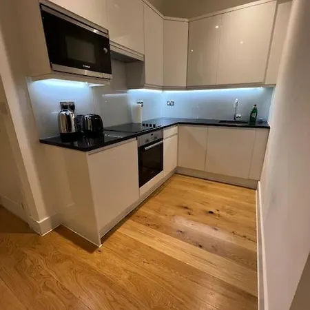 Cozy Modern In Apartment Croydon