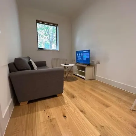 Cozy Modern In *