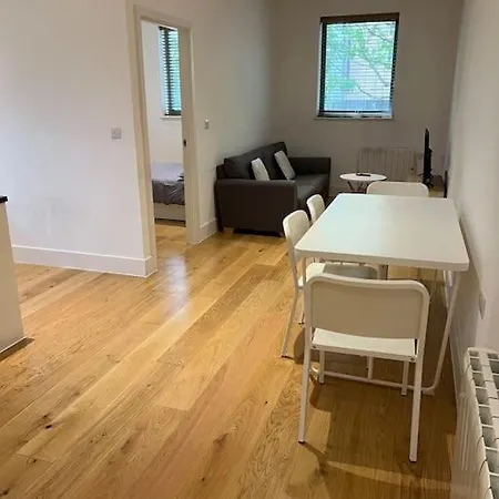 Cozy Modern In Apartment Croydon