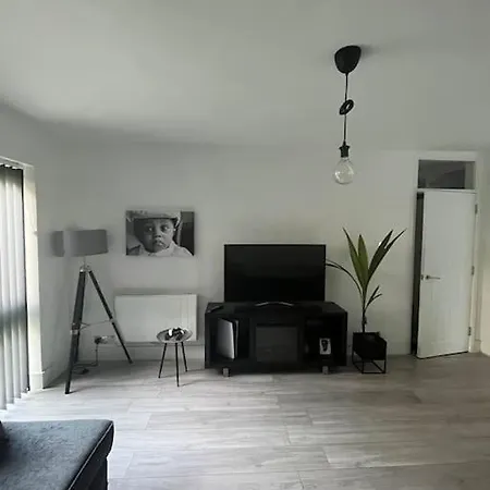 Apartment 1-bed W/ Electric Fireplace *