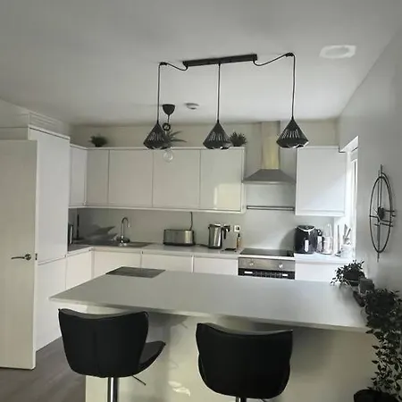 Apartment 1-bed W/ Electric Fireplace