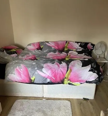 Beautiful Studio Flat Apartment