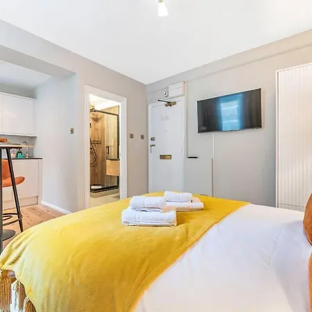 Apartment Stylish In Chelsea