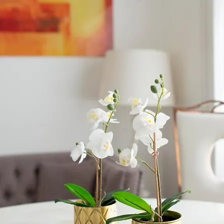 Mayfair Town House Holiday home London