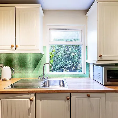 Cosy Flat In Battersea Park Londra