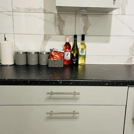 Walk To Lcy Airport Excel Dlr 1br Flat Apartment London