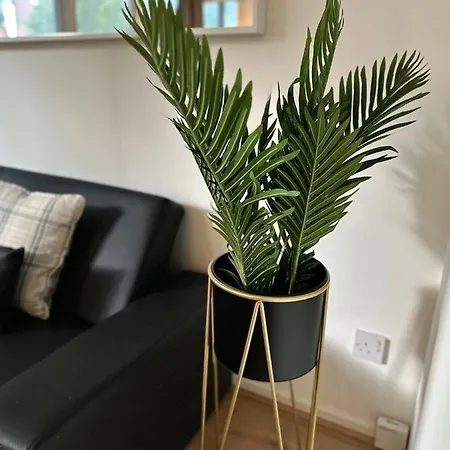 Apartment Cosy Central London