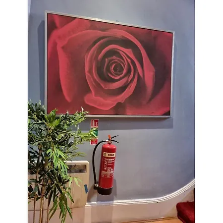 Fg1- Ground Flr Flat Good For 4- Near Hyde Park Apartament *