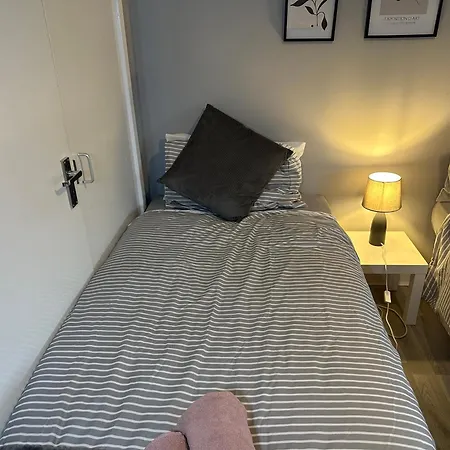 Wembley Serviced Apartment, 20mins From Central Homestay London