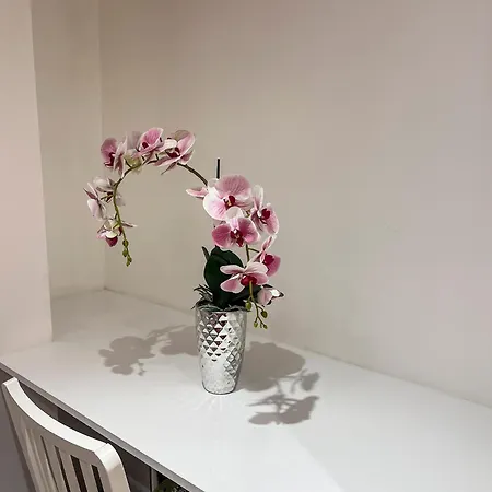 1 Bedroom Flat With Whirlpool Bath