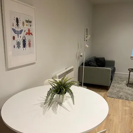 London Heathrow Airport Voyager House Terminal 12345 - Ev Electric And Parking Available! Apartment Hillingdon