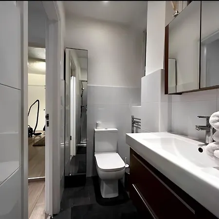 Apartment Great 1 Bed Flat London/chiswick