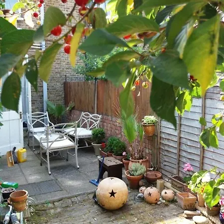 Cosy Single Homestay *