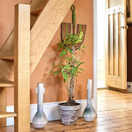 Leafy Notting Hill Holiday home