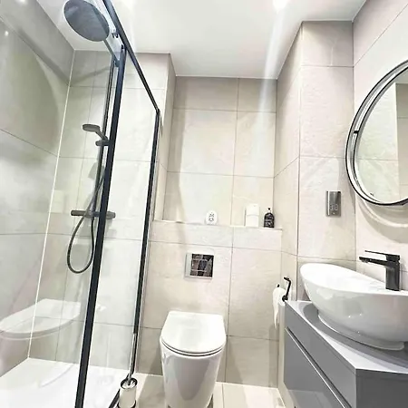 Spacious 1br Flat With Private Bath And Kitchen In Canary Wharf 2 Apartment London