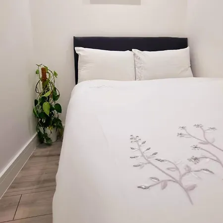 Apartment Brand New Flat Close To Turnpike Lane Tube Station London