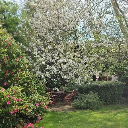 Lovely 2br In Peaceful Hampstead, Nw