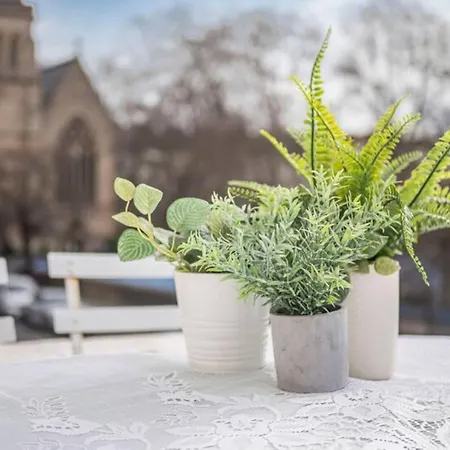 Chic Cosy Flat In Pimlico, Central Pass The Keys