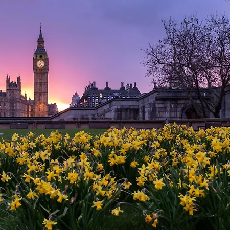 Homestay Luxury In Camden Town Near Shops, Cafes, Bars & Metro With Shared Bathrooms London