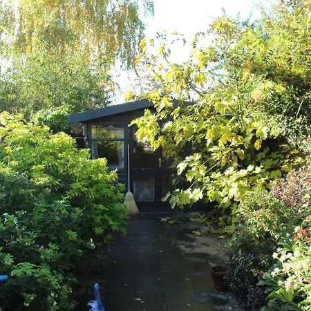 Leafy Notting Hill *