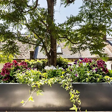 Well-designed Chelsea Flat London