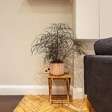 Apartment Cosy Garden Flat In Prestigious Residential Area *