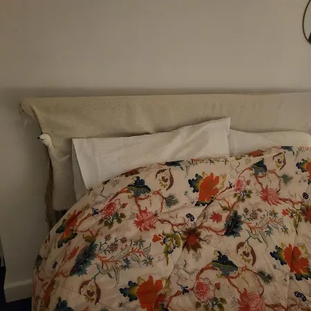 Oval Cricket Ground Walking Distance Apartment