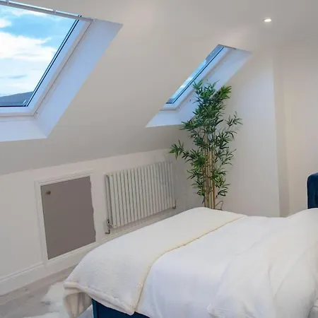 Stylish Skylight In A Luxury House Catford