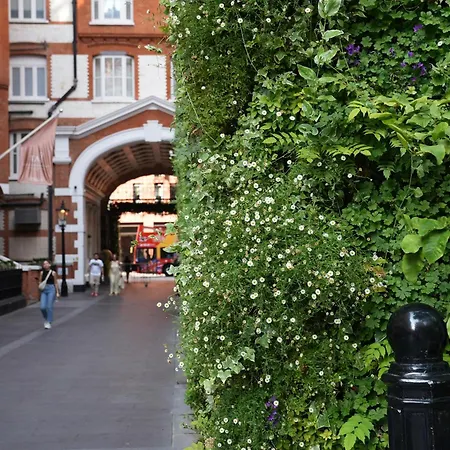 St. James' Court, A Taj Hotel, 4* Londra