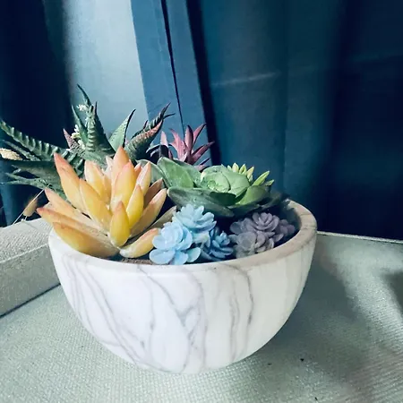 Unique And Artsy Shared Homestay