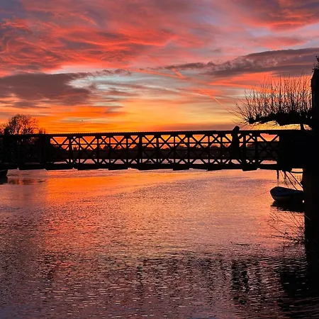 Pillo Hammersmith * Londres