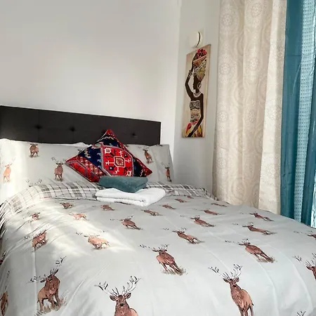 Charming Spacious 1-bed In