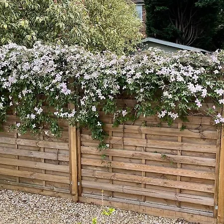 Lovely Annexe Near Surbiton/kingston, Sw London Apartment *