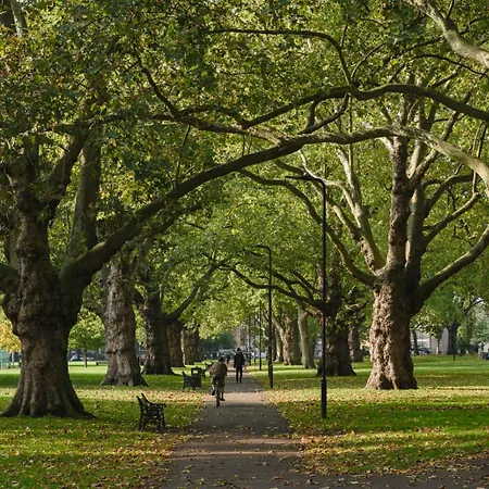 Lovely In Victoria Park Village London