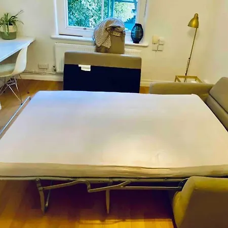 Small One-bed Flat, Payment Required Straight Away, Host Will Message After You've Made A Reservation Apartment London