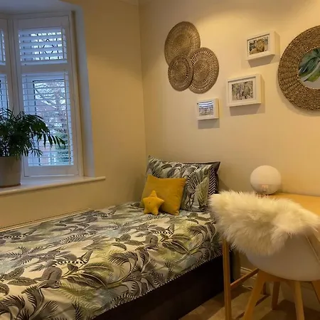 Luxury 4 Bed 2 Bath House With Garden Near Wimbledon Holiday home