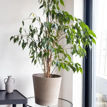 Luxury Penthouse In Apartamento Londres