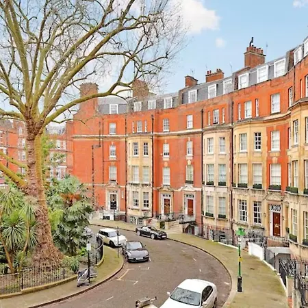 Renovu Premium Homes In Kensington