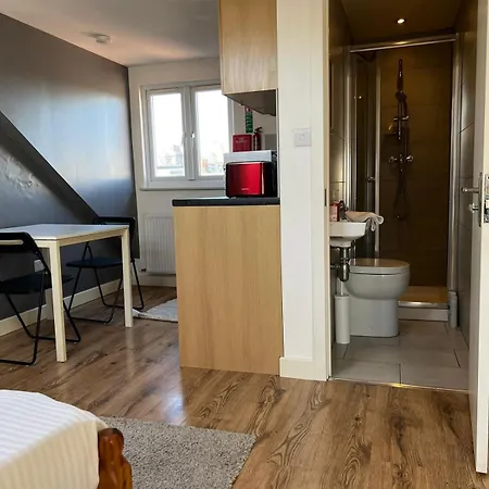 Private With Your Shower And Kitchen Homestay London