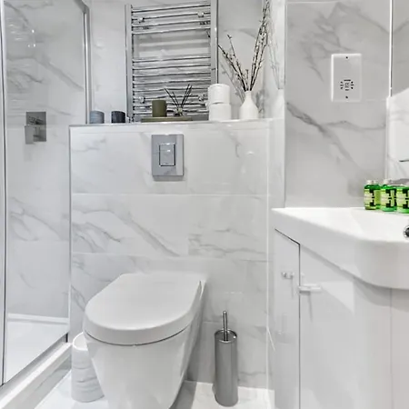 Newly Renovated 1bd Flat Perfect For Travellers Apartment