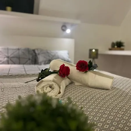 Modern Cosy Studio In Barbican - Green - F2 Appartement *
