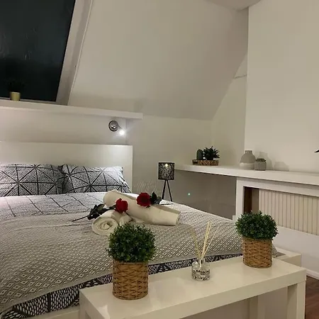 Modern Cosy Studio In Barbican - Green - F2 Apartment