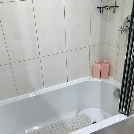 Cosy Private With Private Bathroom In A River View Flat London
