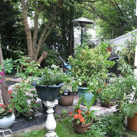 Dawson Place, Juliette's Londýn