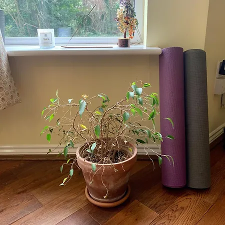 Peaceful Garden View Apt. Close To Apartment