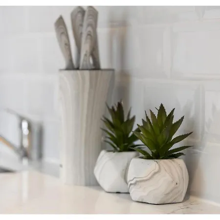 Apartment Chic & Radiant Retreat In Harringay Ladder