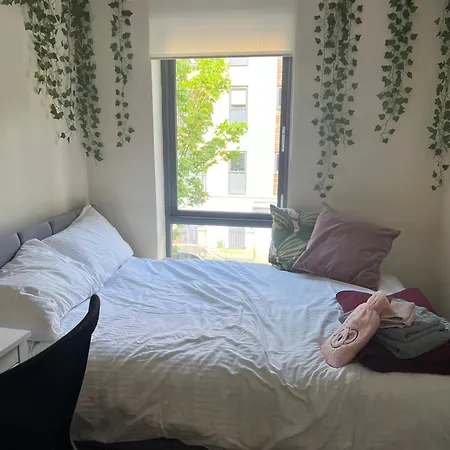 Homestay Blackberry Court London